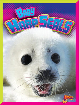cover image of Baby Harp Seals